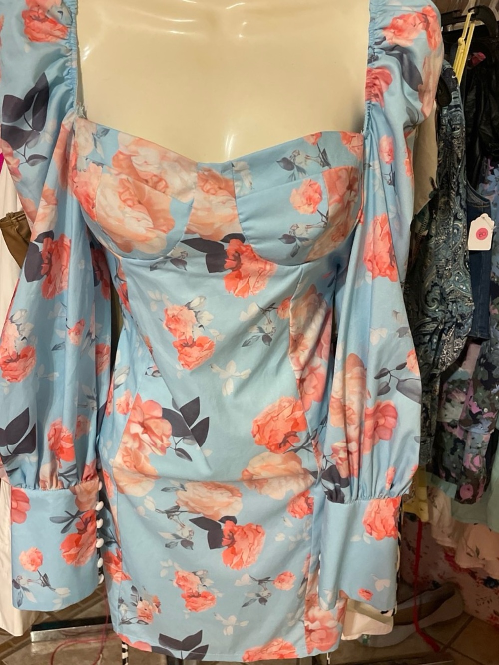 CBR Blue Floral Long Sleeve Mini Dress with Puff Sleeves